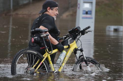 Siêu bão Harvey nhấn chìm thành phố Houston, Mỹ